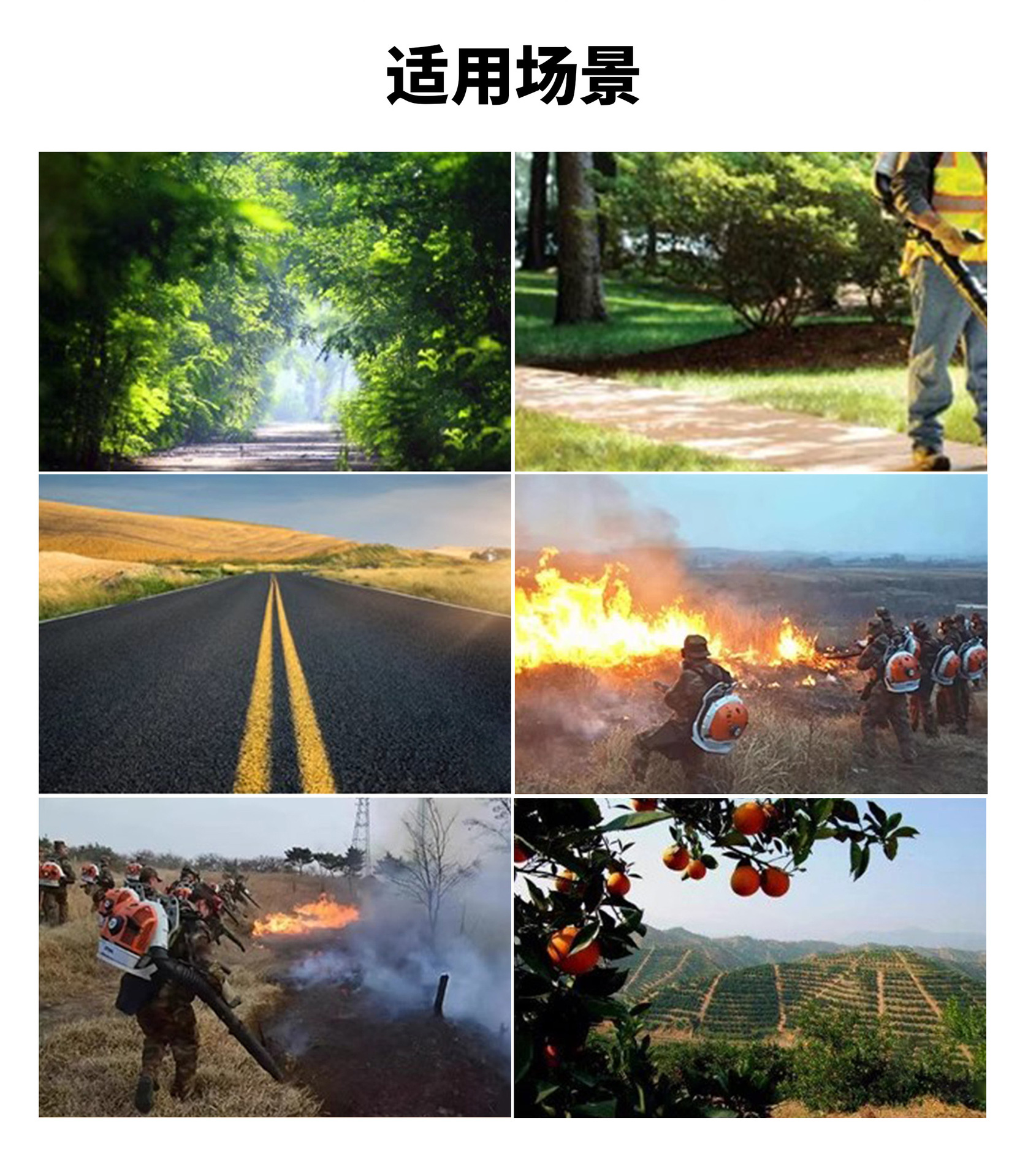 斯蒂爾吹風(fēng)機(jī)（一機(jī)多用）(圖2)