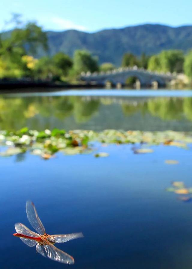 今日大暑丨迎風(fēng)沐雨，憧憬未來(圖5)
