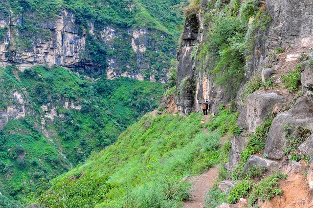四川批準(zhǔn)涼山7縣摘帽脫貧！全省88個(gè)貧困縣全部清零